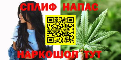 ПСИЛОЦИБИНОВЫЕ ГРИБЫ Кинель